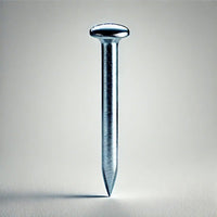 Common Nails 316 Steel Steel
